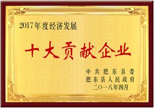 熱烈慶祝安徽皖信人力資源管理榮獲肥東縣經(jīng)濟發(fā)展大會雙項獎，樹立人力資源服務(wù)新標桿